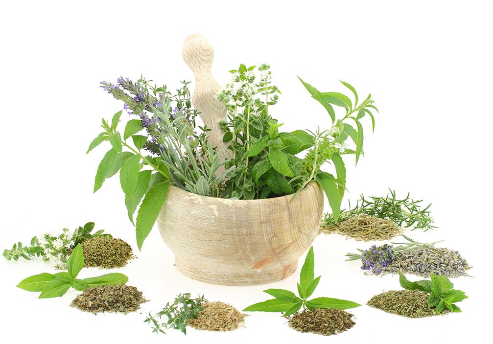 Plant extracts in the composition of the product.