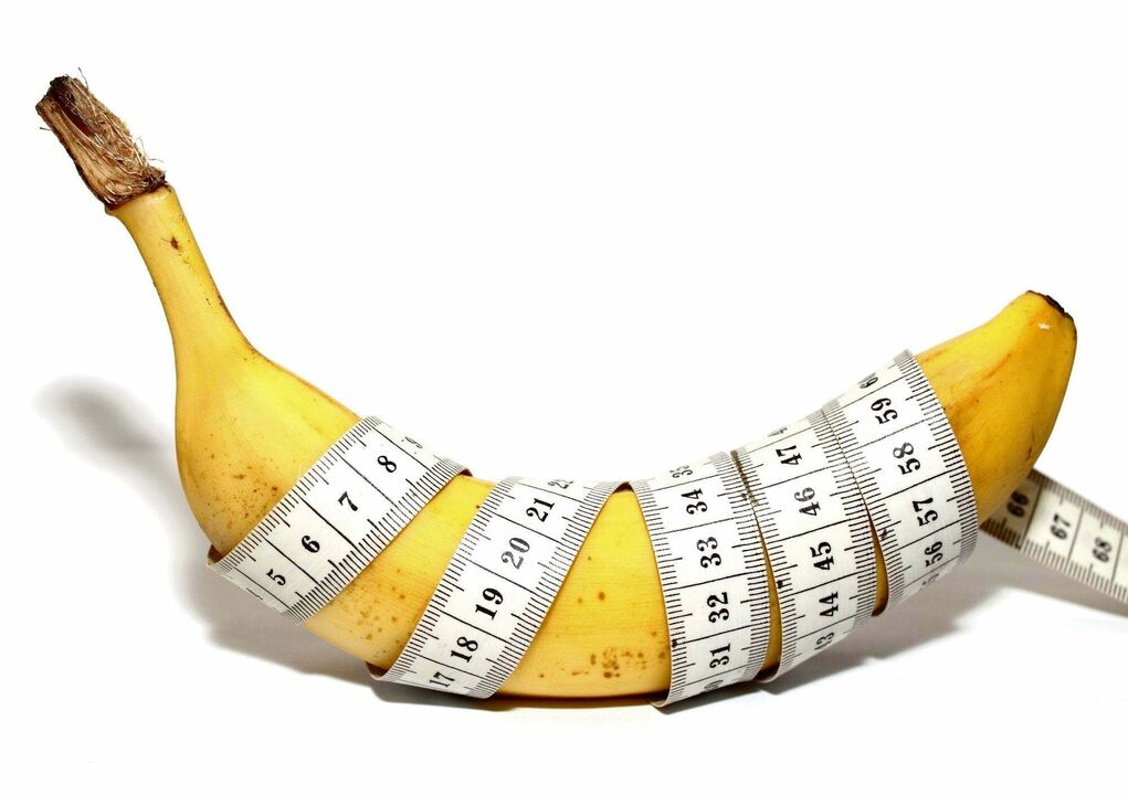 normal length of the penis