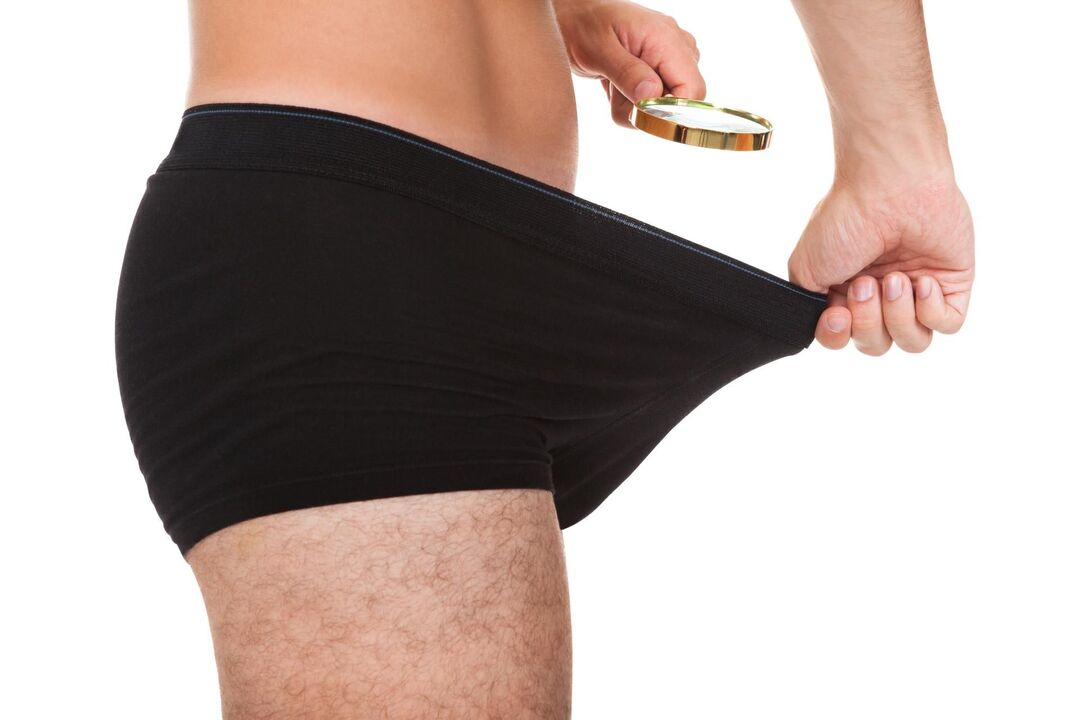 normal size of the male organ